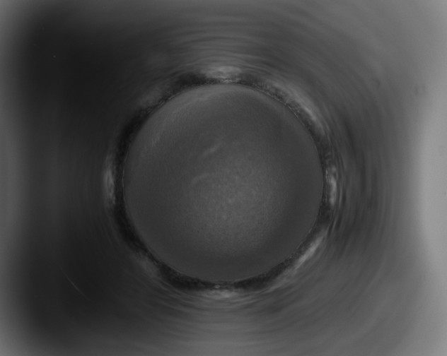 X0000087540404200705181052