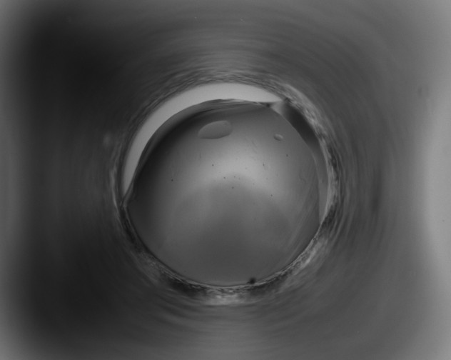 X0000087540405200705181052