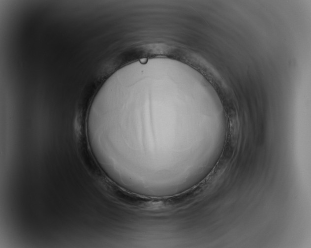 X0000087540406200705181052