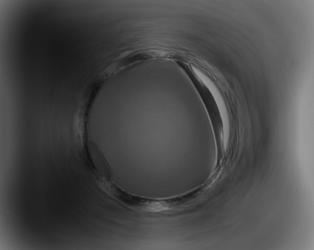 X0000087540409200705181052