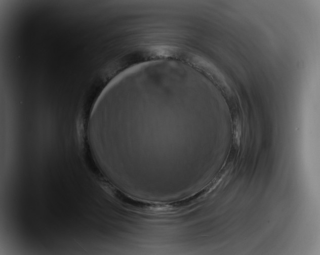 X0000087540410200705181052