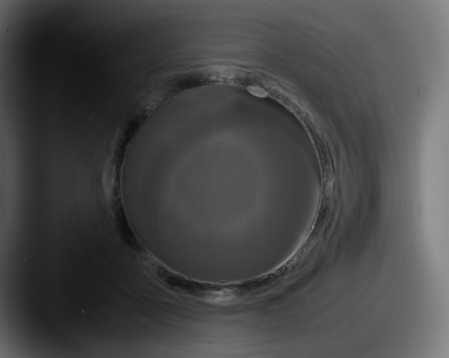 X0000087540411200705181052