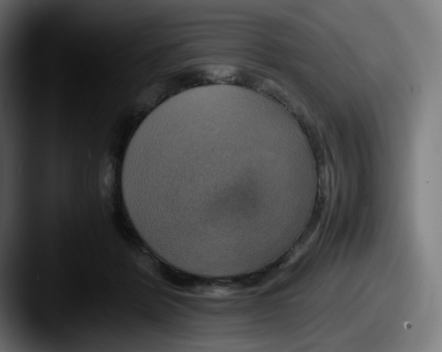 X0000087540412200705181052