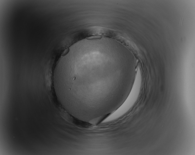 X0000087540413200705181052