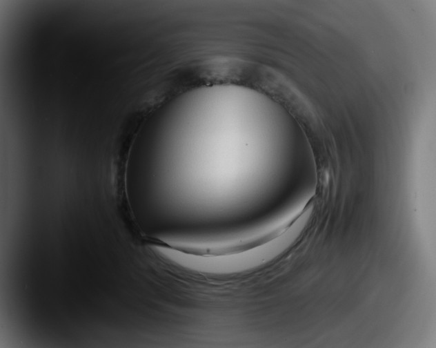 X0000087540416200705181052