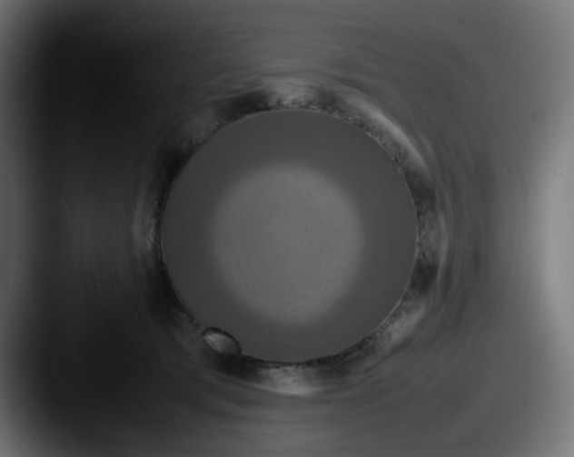 X0000087540417200705181052