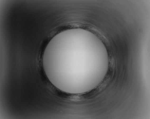 X0000087540418200705181052