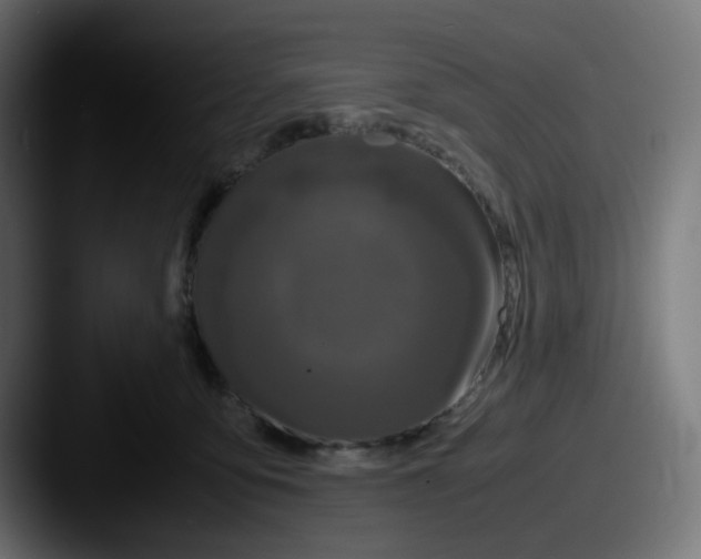 X0000087540419200705181052