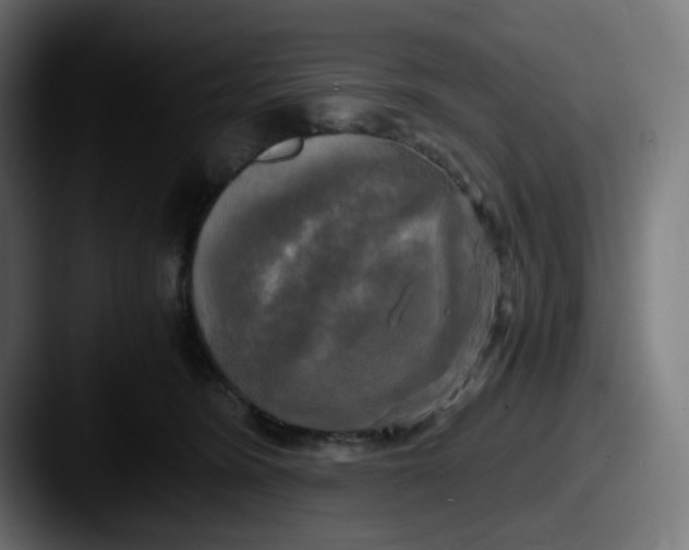 X0000087540420200705181052