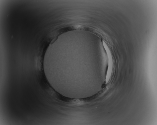 X0000087540421200705181052