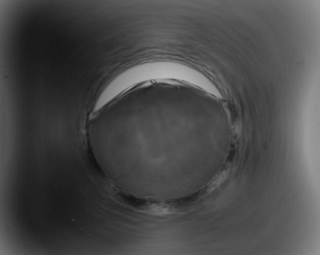 X0000087540423200705181052