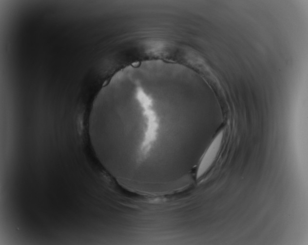 X0000087540424200705181052