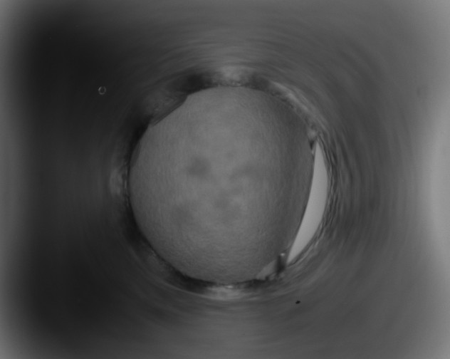 X0000087540425200705181052