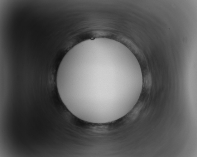 X0000087540426200705181052