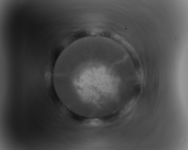 X0000087540427200705181052