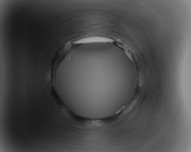 X0000087540428200705181052