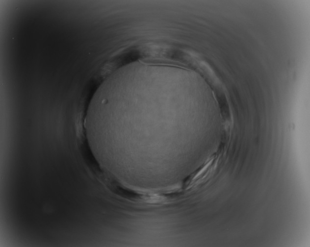 X0000087540429200705181052