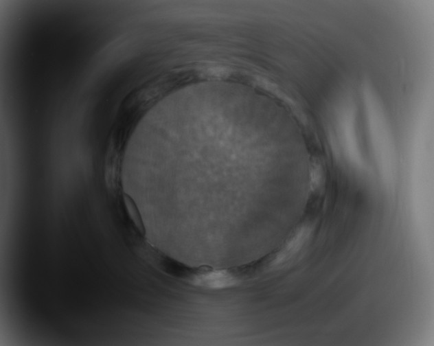 X0000087540431200705181052