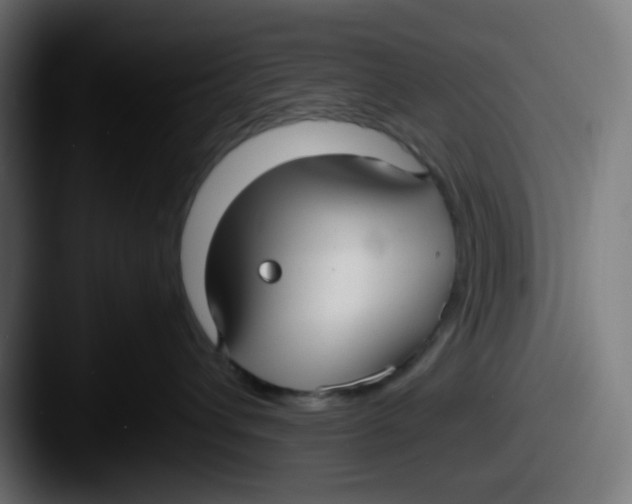 X0000087540432200705181052