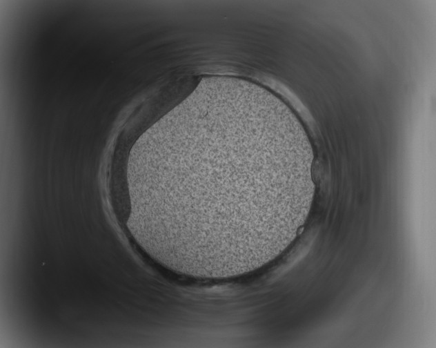 X0000087540433200705181051