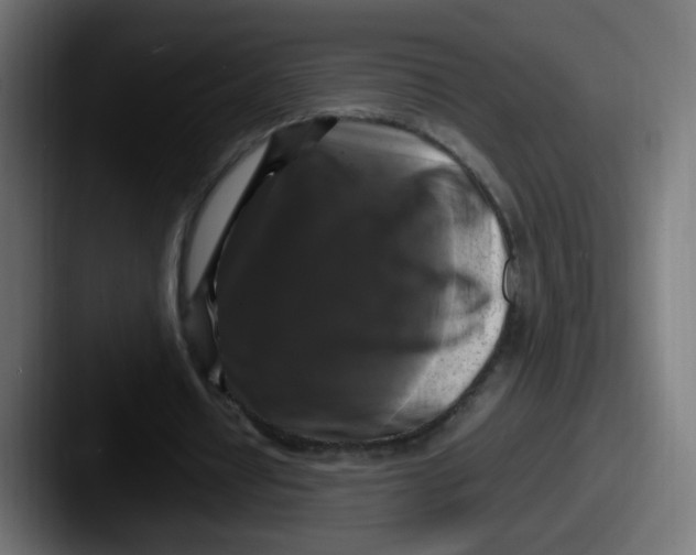 X0000087540434200705181051