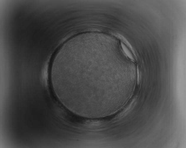 X0000087540435200705181051