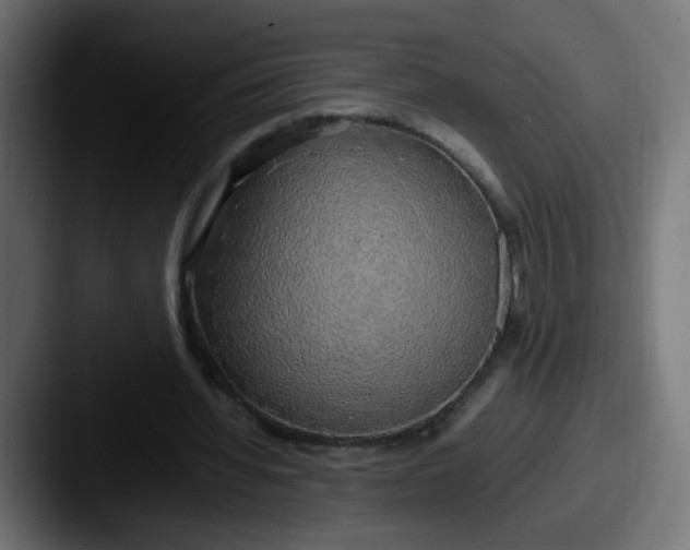 X0000087540436200705181051