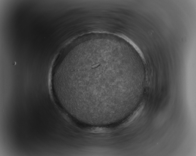 X0000087540437200705181051