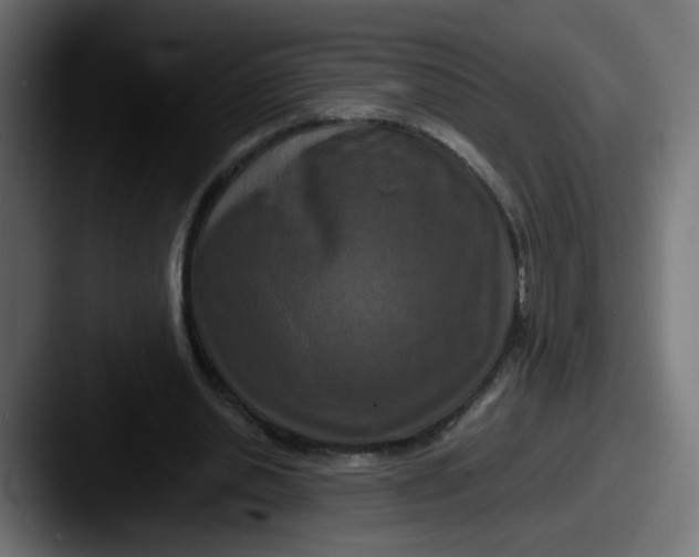 X0000087540438200705181051