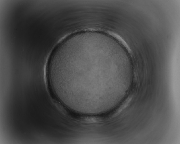 X0000087540439200705181051