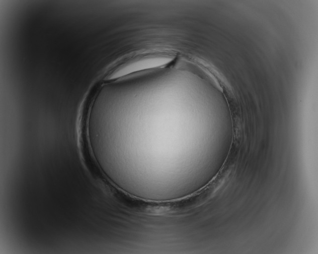 X0000087540440200705181051