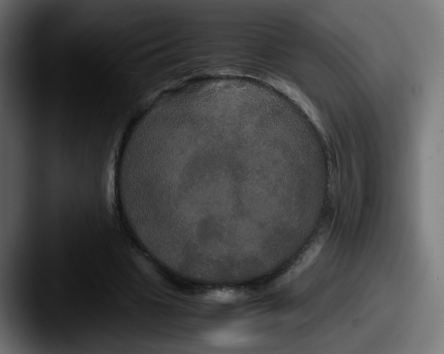 X0000087540441200705181051