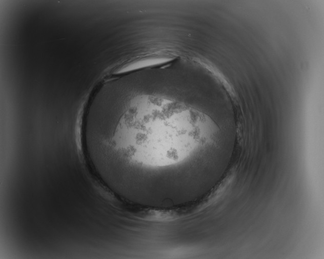 X0000087540442200705181051