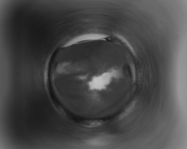 X0000087540443200705181051