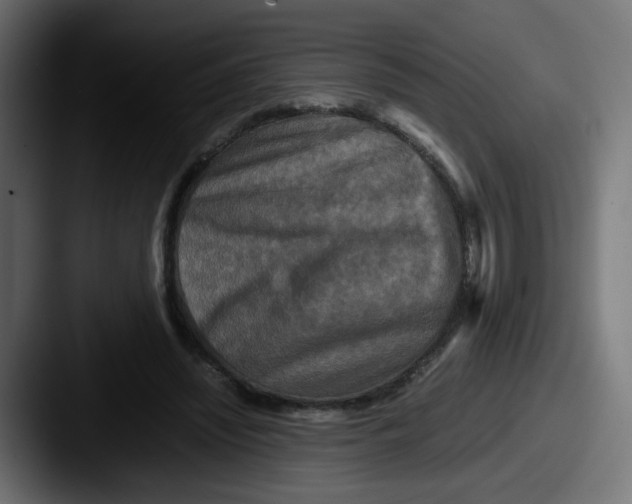 X0000087540444200705181051