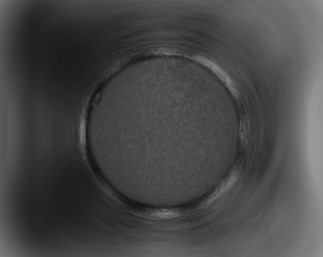 X0000087540445200705181051