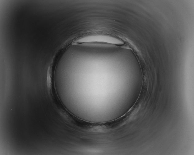 X0000087540446200705181051