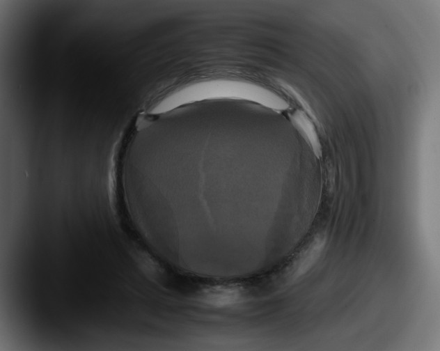 X0000087540447200705181051