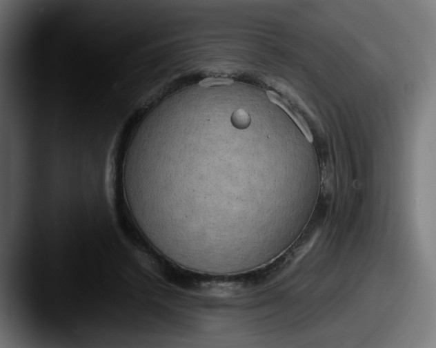 X0000087540448200705181051