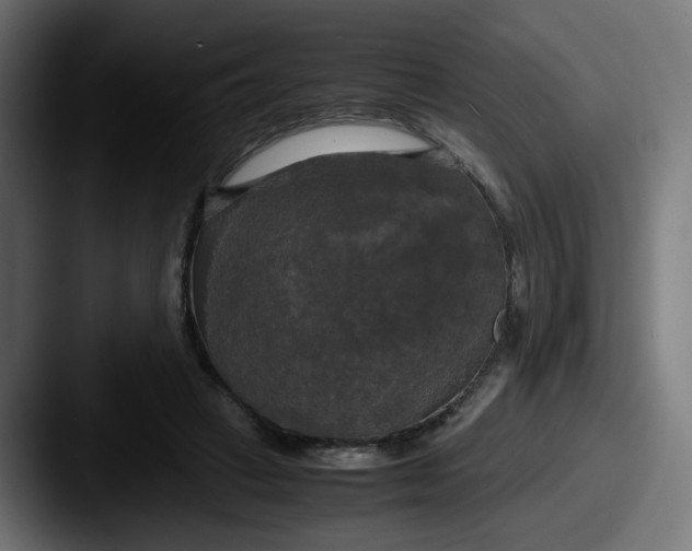 X0000087540449200705181051