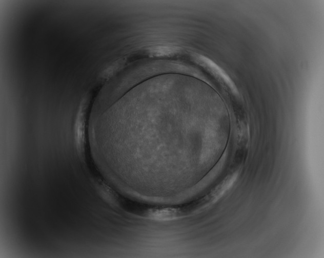 X0000087540452200705181051