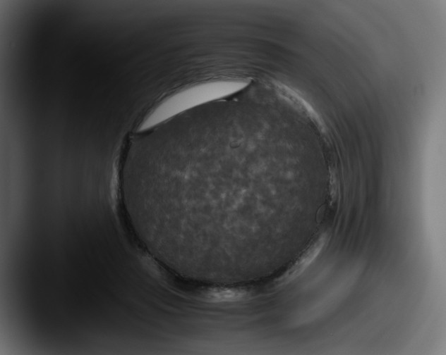 X0000087540453200705181051