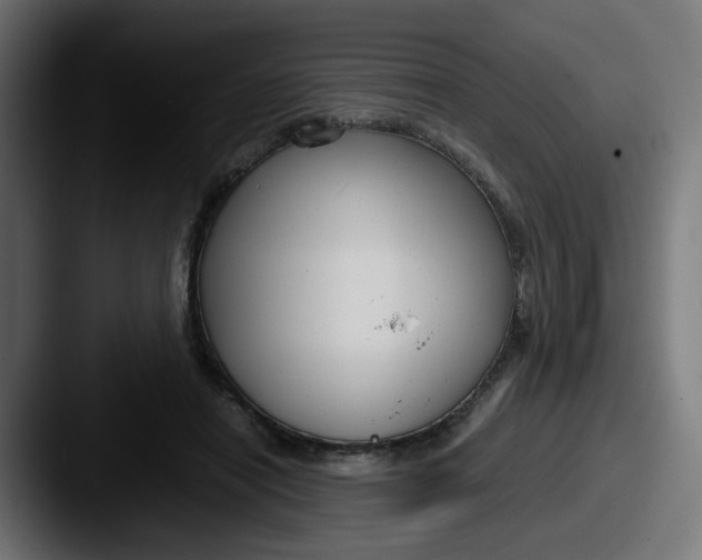 X0000087540454200705181051