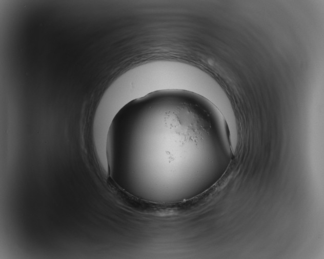 X0000087540456200705181051