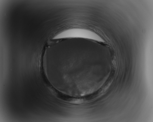 X0000087540458200705181051