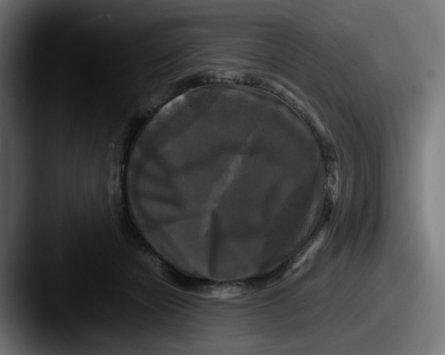 X0000087540462200705181051