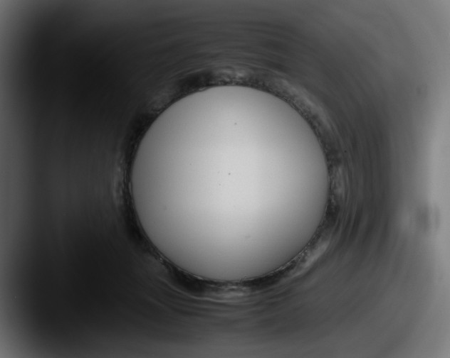 X0000087540463200705181051