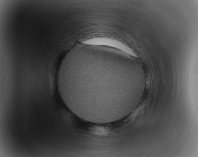 X0000087540464200705181052