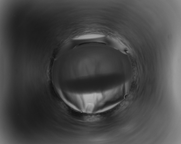 X0000087540465200705181052