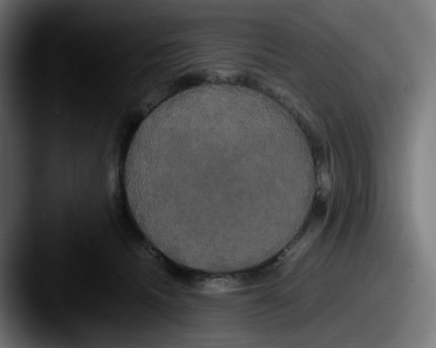 X0000087540468200705181052